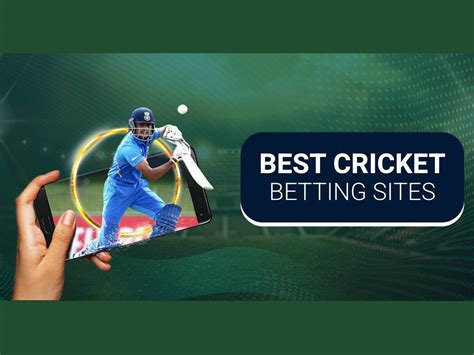 best online cricket betting site